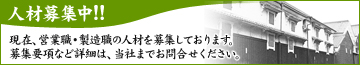 �l�ޕ�W���I�I
